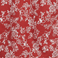 Petite Ruby Rd. Romance On The Ranch Ruffle Neck Floral Blouse - image 6