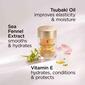 Elizabeth Arden Advanced Ceramide Daily Restoring Eye Serum - image 7
