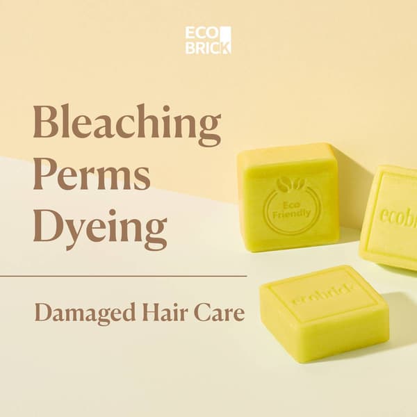 EcoBrick Mild Acidic Damaged Hair Care Shampoo Bar