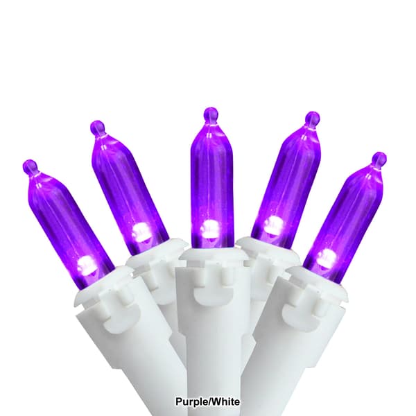 Northlight Seasonal 50ct. 16.25ft. Mini Christmas Light Set