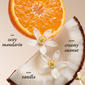 Philosophy Coconut Rush Whipped Body Crème - image 3