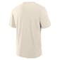 Mens Fanatics Philadelphia Phillies Arm Cannon Short Sleeve Tee - image 3