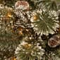 National Tree 18in. LED Glittery Bristle Pine Porch Bush - image 3