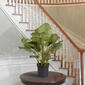 National Tree Garden Accents 30in. Calathea Plant - image 2