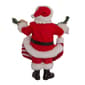 Kurt S. Adler 10.5in. Santa With Adopt-A-Pet Garland Figurine - image 4