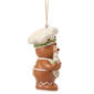 Jim Shore Gingerbread Jolly Christmas Ornament - image 4