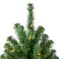 Northlight 7ft. Pre-Lit Full Pendleton Spruce Christmas Tree - image 4