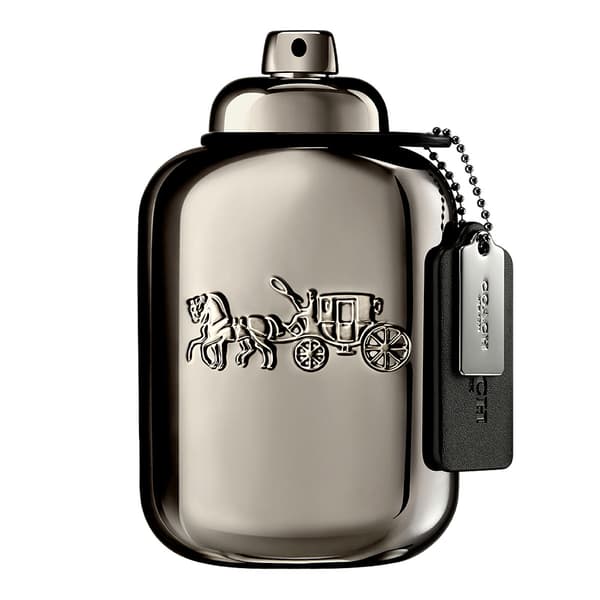 Coach Pure Platinum Parfum