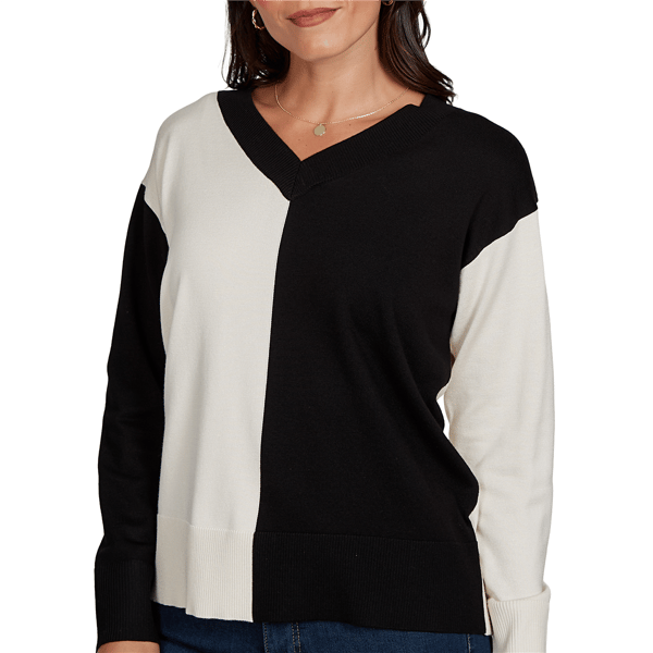 Petite Skye’s the Limit Signature Sweaters Color Block Sweater