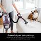 Shark&#174; Rotator Pet Lift-Away ADV Upright Vacuum - LA702 - image 5