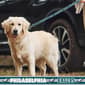 NFL Philadelphia Eagles Dog Leash - image 2