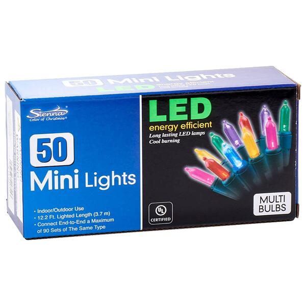 Sienna Multi-Color 50ct. Incandescent Christmas Lights - image 