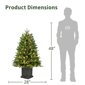 Puleo International Warm White LED Fraser Fir Christmas Tree - image 6