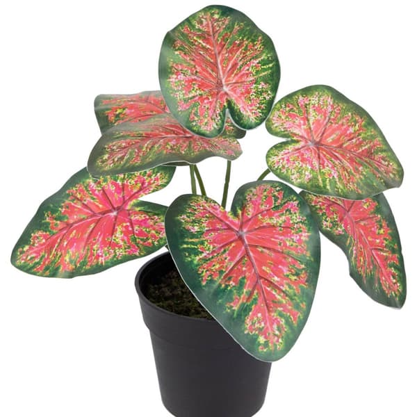 Northlight Seasonal 8in. Artificial Rohdea Potted Plant