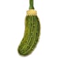 Beacon Design Christmas Pickle Ornament - image 1