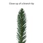 Puleo International 4ft. Pre-Lit Santa Christmas Tree - image 5