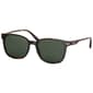 Mens Surf N'' Sport Polarized Olympians Sunglasses-Tortoise/Green - image 1