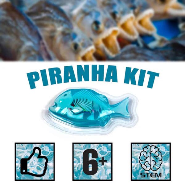 World Tech Toys Amazing Creatures Piranha Dissection Kit