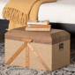 Baxton Studio Kande Woven Exterior Storage Trunk - image 9
