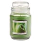 Kates Home Candles Sweet Apple 20oz. Candle - image 1