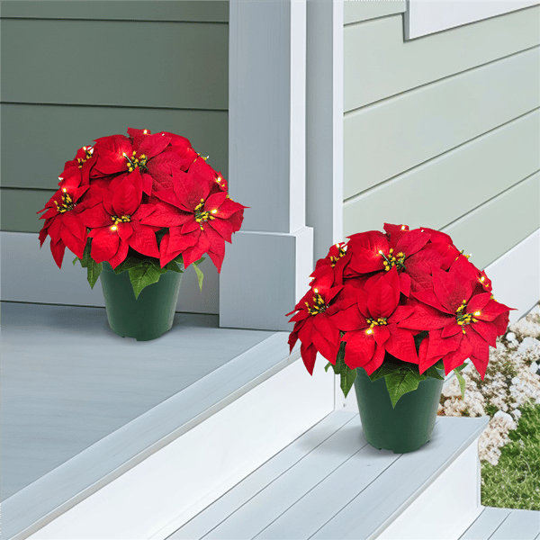 Puleo International 19in. Pre-Lit Potted Red Poinsettias