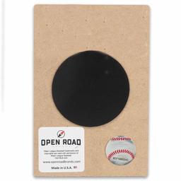 Open Road Pittsburgh Pirates Parrot Mascot Magnet