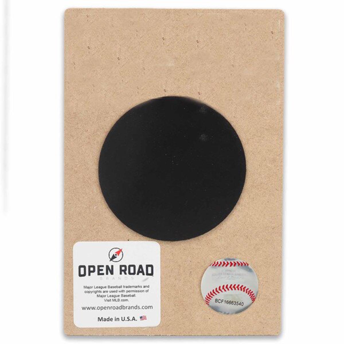 Open Road Pittsburgh Pirates Parrot Mascot Magnet