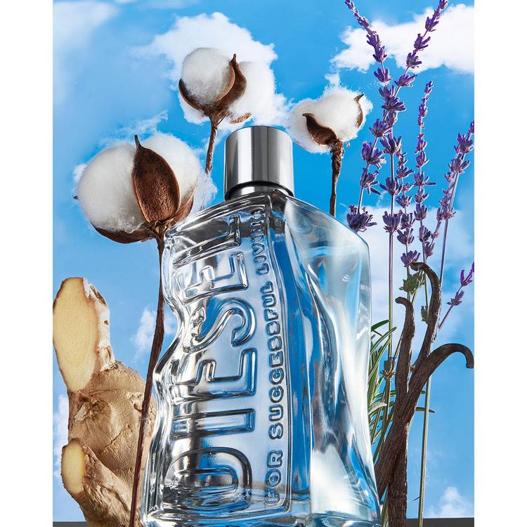 D by Diesel Eau de Toilette