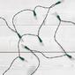 Northlight Seasonal 33ft. LED Clear Mini Christmas Lights - image 2