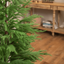 Northlight 6ft. Medium Norfolk Pine Potted Christmas Tree