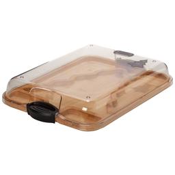 Gourmet Kitchen Tree Shaped Section Serving Tray