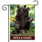 Briarwood Lane Black Bear Welcome Garden Flag - image 1