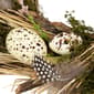Northlight Seasonal Eggs & Feathers Artificial Easter Wreath - image 5