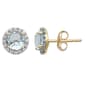 Gemstone Classics(tm) Aquamarine & White Sapphire Earrings - image 1