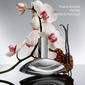 Calvin Klein Euphoria Signature Elixir Parfum Intense - image 4