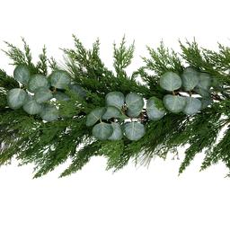 Northlight Seasonal 6ft. Eucalyptus Artificial Christmas Garland