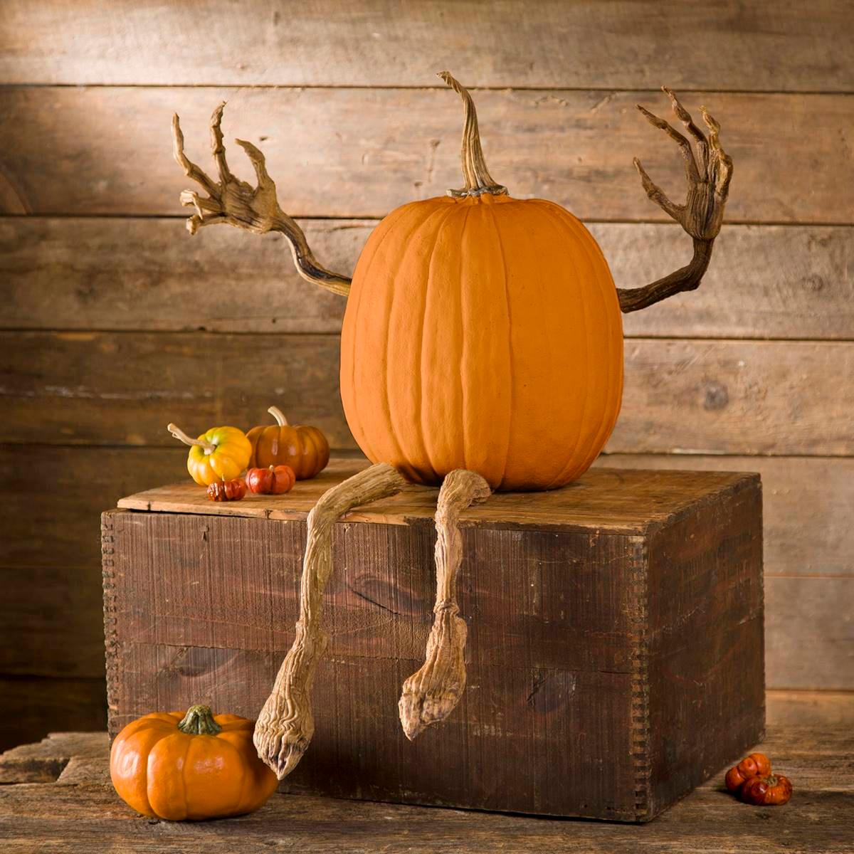 Evergreen Posable Pumpkin Vine Arms and Legs Set