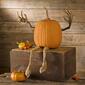 Evergreen Posable Pumpkin Vine Arms and Legs Set - image 1