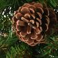 National Tree 36in. Pine Cone Crescent - image 3