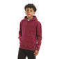 Boys (8-20) Champion Washed Hoodie W/ Embroidery - image 1