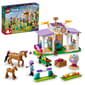 LEGO&#40;R&#41; Friends Horse Training - image 1