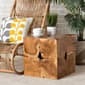 Baxton Studio Eldora Rustic Brown Teak Root End Table - image 5