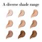 Elizabeth Arden Flawless Finish Skincaring Concealer - image 5
