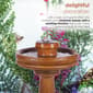 Product thumbnail image