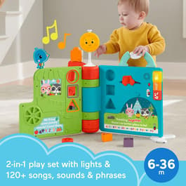 Fisher-Price® Sit-to-Stand Giant Activity Book