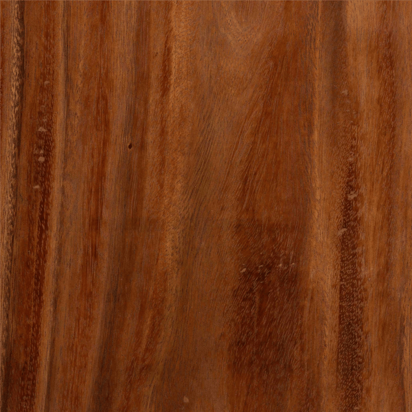 bali & pari Luan Suar Wood Dining Chair