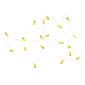 Northlight LED Pineapple Fairy Lights, 10ct - image 4