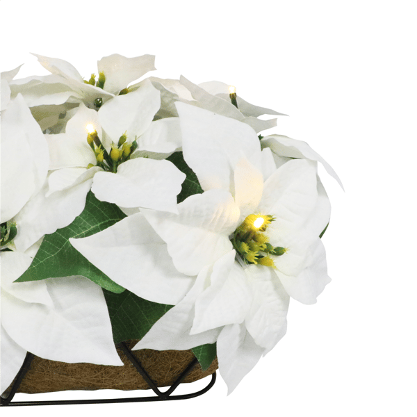Puleo International Pre-Lit White Poinsettia Window Box Décor