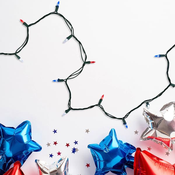 Northlight Seasonal 32.75ft. LED Mini Patriotic String Light Set