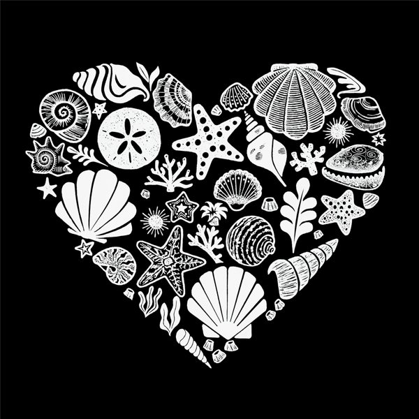 Womens LA Pop Art Sea Shells Word Art V-Neck T-Shirt